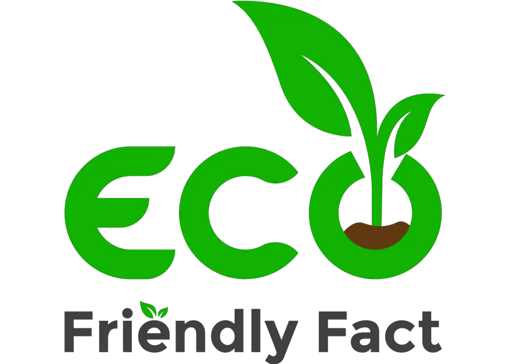 What Does EcoFriendly Mean Eco Friendly Fact