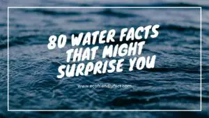 Interestin Facts Bout Water