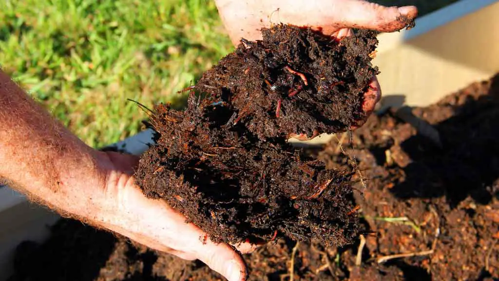 How to start a composting business