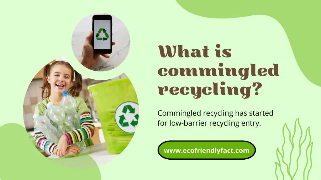 What Is Commingled Recycling