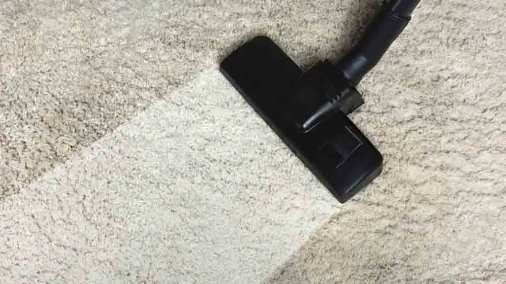 Benefits Of Using A Professional Carpet Cleaner Machine
