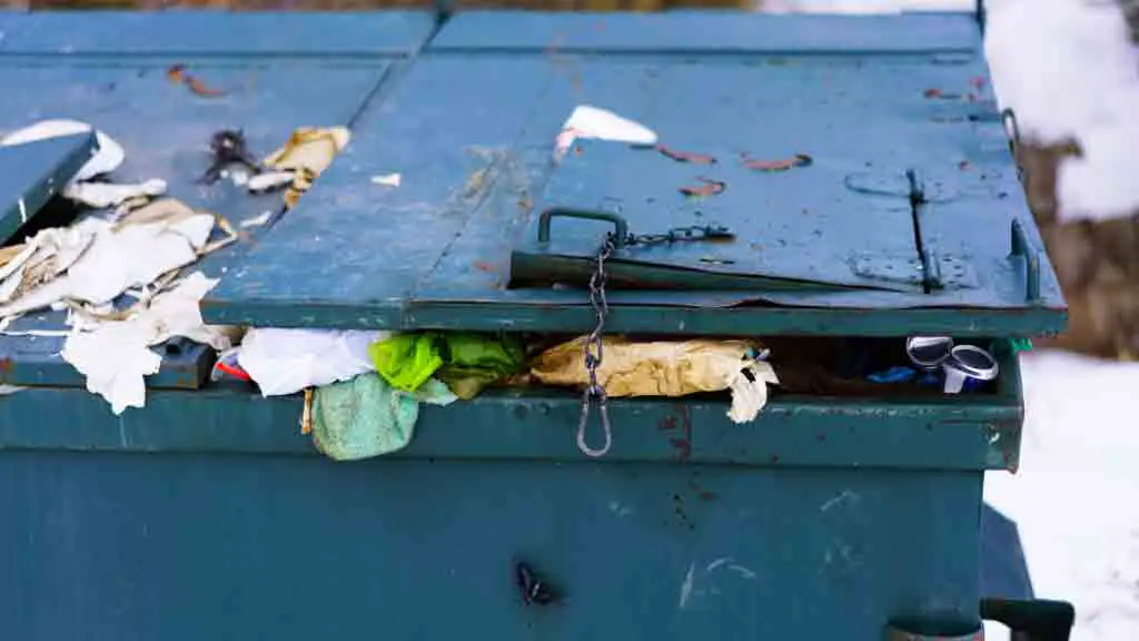 Is Dumpster Diving Illegal in Colorado