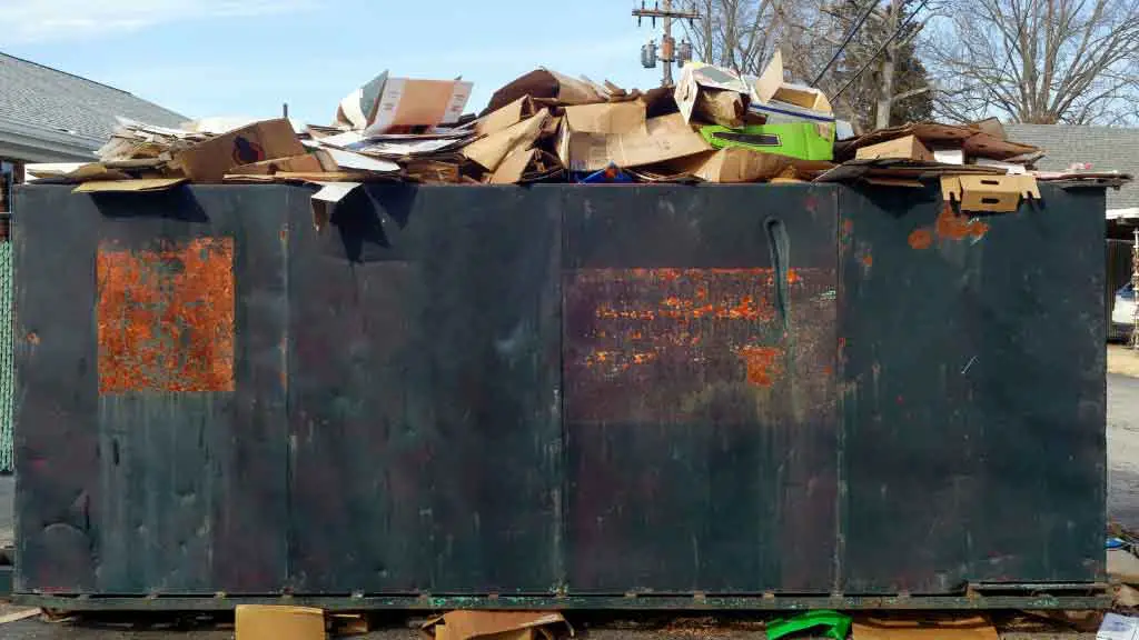 Dumpster Diving at CVS