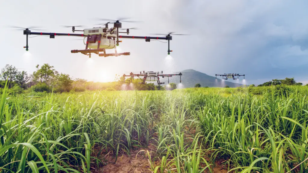 What Innovations Are on the Horizon for Sustainable Agriculture? 