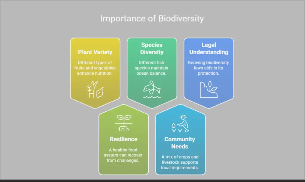 What Role Does Biodiversity Play in Sustainable Food Systems? 