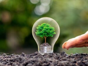 “Weatherstripping a window to save energy during fall months” “Smart thermostat settings for cooler fall months” “LED holiday lights as an energy-saving alternative” “Employee adjusting blinds in office for fall energy savings” “Insulating an attic for fall home energy efficiency”