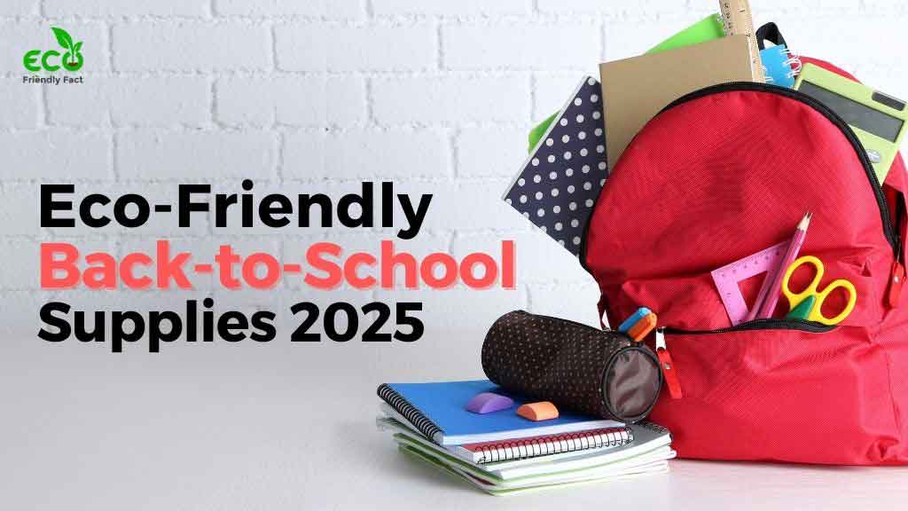 Eco-friendly back-to-school supplies including reusable lunch gear and sustainable stationery for 2025
