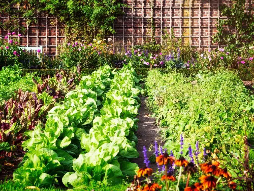 “12 mistakes to avoid starting a fall vegetable garden with beginner-friendly tips” “fall vegetable gardening mistakes and tips for better harvest” “beginner fall gardening guide showing soil preparation and planting” “how to avoid common mistakes in fall vegetable gardening for a healthy harvest”