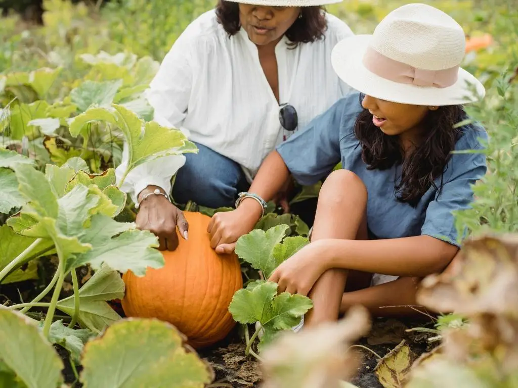 “10 advanced fall gardening ideas for experienced gardeners preparing their garden in autumn” “fall gardening tips for experienced gardeners with soil care, cover crops, and pruning” “autumn garden preparation ideas for advanced gardeners protecting plants and improving soil” “experienced gardener working on advanced fall gardening ideas like raised beds and cold frames”