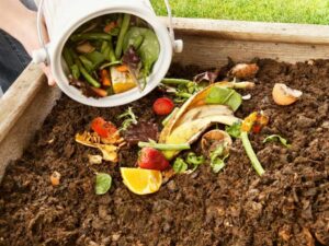 "compost topdressing for lawns in fall with healthy green grass"