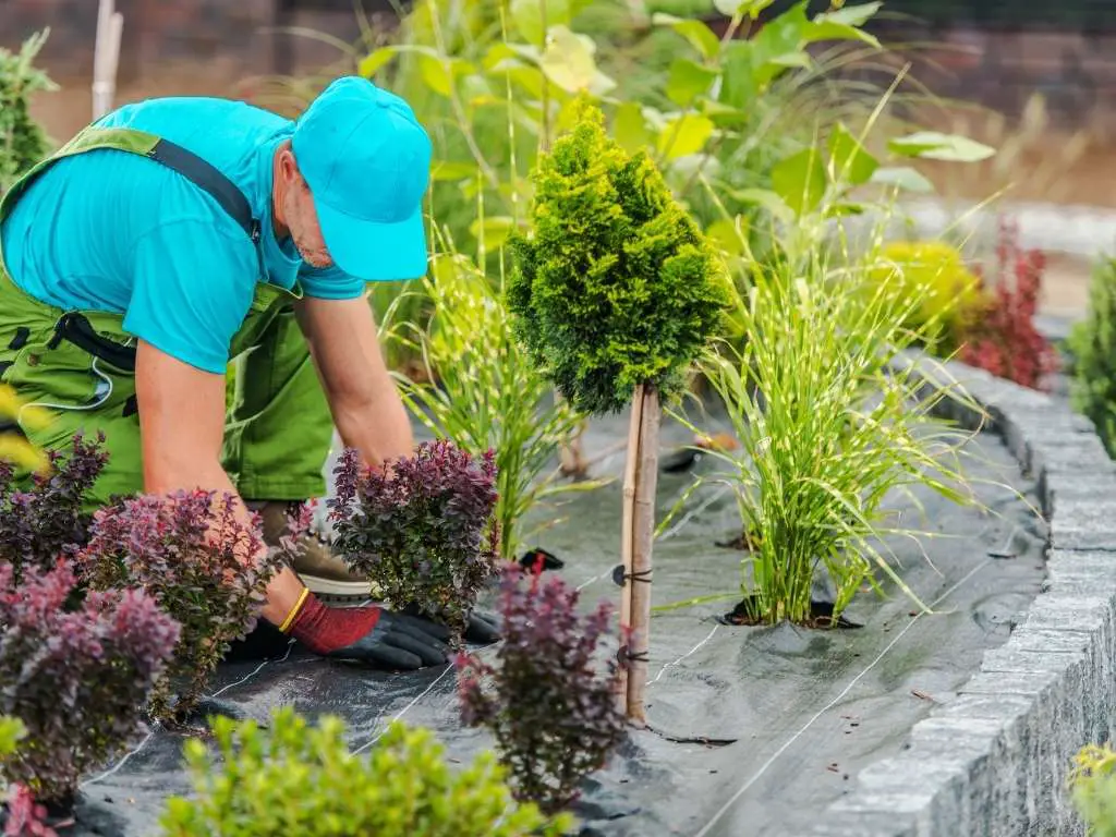 “20 low-maintenance fall gardening hacks that actually work for beginners” “easy fall garden preparation hacks with mulch, bulbs, and frost protection” “low-maintenance fall gardening tips to save time and effort in autumn” “fall gardening hacks that work for a stress-free and healthy garden”