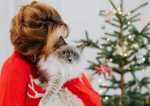 zero-waste-christmas-pets-eco-friendly-holiday-ideas